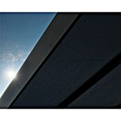 Palram – Canopia Carport Oslo (Medidas ext. (An x Pr): 5,96 x 9,01 m, Negro) | BAUHAUS