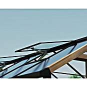 Palram – Canopia Invernadero Natura (Medidas ext. (An x Pr): 249 x 500 cm, Plástico, 4 mm, Natural) | BAUHAUS