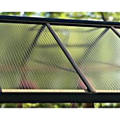 Palram – Canopia Invernadero Natura (Medidas ext. (An x Pr): 249 x 500 cm, Plástico, 4 mm, Natural) | BAUHAUS
