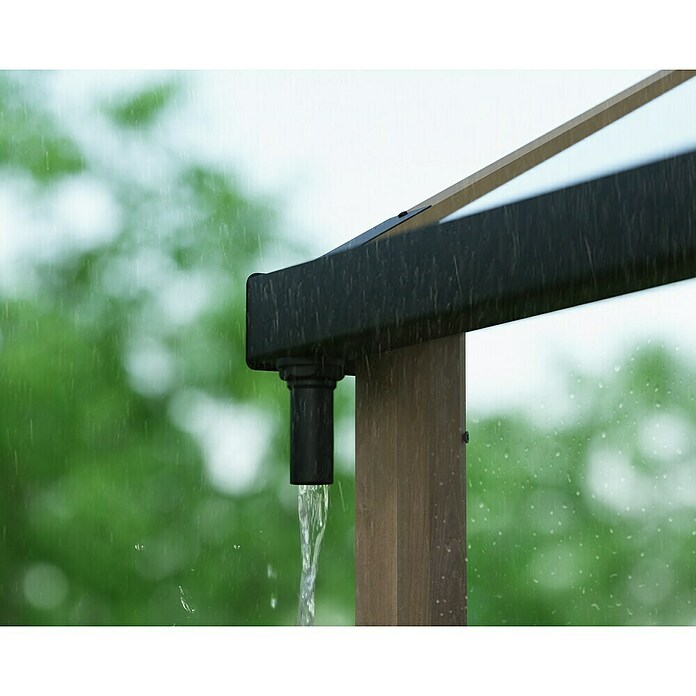 Palram – Canopia Invernadero Natura (Medidas ext. (An x Pr): 249 x 500 cm, Plástico, 4 mm, Natural) | BAUHAUS