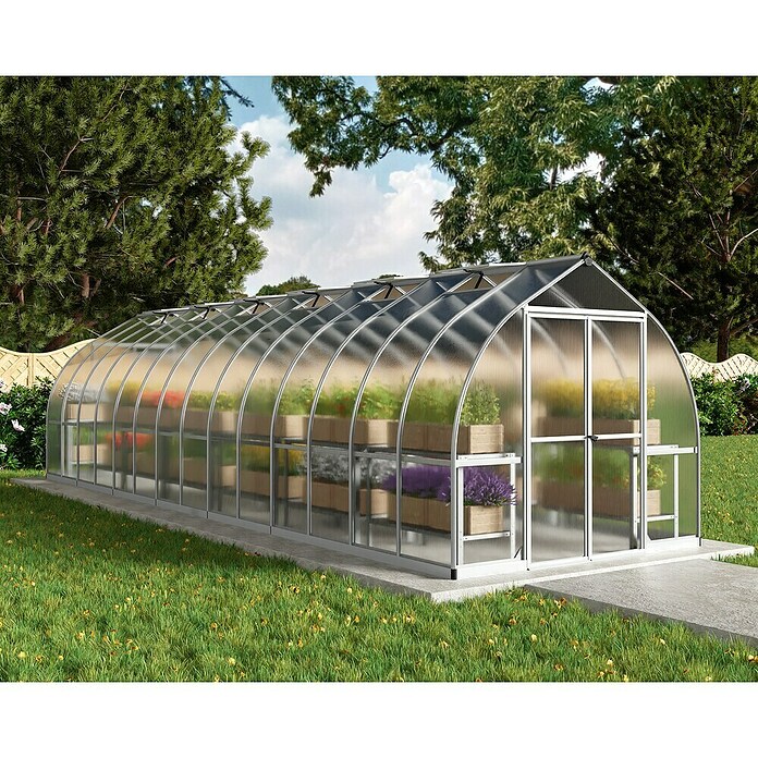 Palram – Canopia Invernadero Bella (Medidas ext. (An x Pr): 244 x 843 cm, 6 mm, Plateado) | BAUHAUS