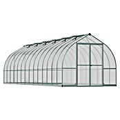 Palram – Canopia Gewächshaus Bella (Außenmaß inkl. Dachüberstand (B x T): 244 x 843 cm, 6 mm, Silber) | BAUHAUS