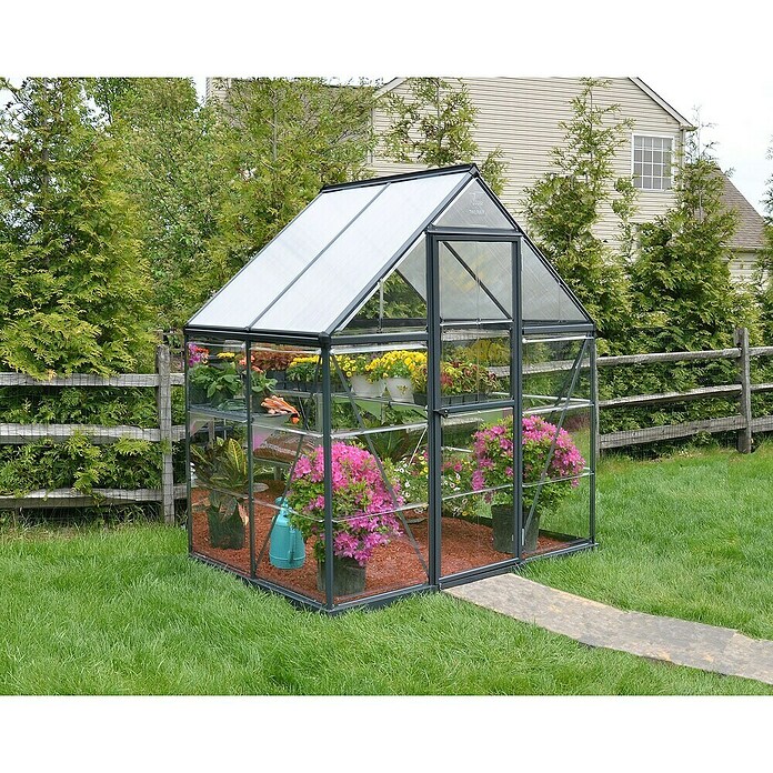 Palram – Canopia Invernadero Hybrid (Medidas ext. (An x Pr): 185 x 126 cm, 0,7 mm, Antracita) | BAUHAUS