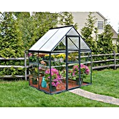 Palram – Canopia Invernadero Hybrid (Medidas ext. (An x Pr): 185 x 126 cm, 0,7 mm, Antracita) | BAUHAUS