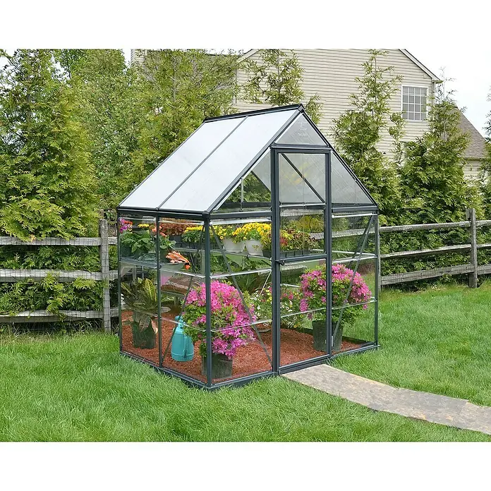 Palram – Canopia Invernadero Hybrid - Medidas ext. (An x Pr): 185 x 126 cm, 0,7 mm, Antracita - Un invernadero con plantas en un jardín, con un sendero que conduce a la entrada. Cuenta con estanterías en el interior para acomodar las plantas.