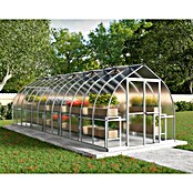 Palram – Canopia Invernadero Bella (Medidas ext. (An x Pr): 244 x 723 cm, 6 mm, Plateado) | BAUHAUS