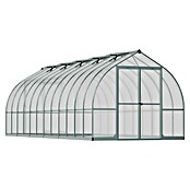 Palram – Canopia Invernadero Bella (Medidas ext. (An x Pr): 244 x 723 cm, 6 mm, Plateado) | BAUHAUS