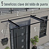 Palram – Canopia Marquesina para puerta Sophia (160 x 95 x 17 cm, Blanco, Color del techo: Blanco opal) | BAUHAUS