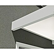 Palram – Canopia Marquesina para puerta Sophia (160 x 95 x 17 cm, Blanco, Color del techo: Blanco opal) | BAUHAUS