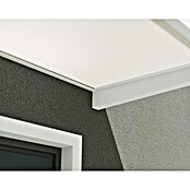 Palram – Canopia Marquesina para puerta Sophia (160 x 95 x 17 cm, Blanco, Color del techo: Blanco opal) | BAUHAUS