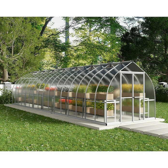 Palram – Canopia Invernadero Bella (Medidas ext. (An x Pr): 244 x 963 cm, 6 mm, Plateado) | BAUHAUS