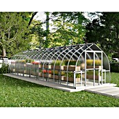 Palram – Canopia Invernadero Bella (Medidas ext. (An x Pr): 244 x 963 cm, 6 mm, Plateado) | BAUHAUS