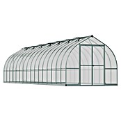 Palram – Canopia Invernadero Bella (Medidas ext. (An x Pr): 244 x 963 cm, 6 mm, Plateado) | BAUHAUS