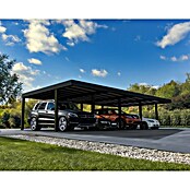 Palram – Canopia Carport Oslo (Medidas ext. (An x Pr): 5,96 x 12 m, Negro) | BAUHAUS