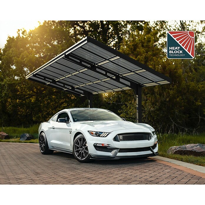 Palram – Canopia Carport Sydney Wave (Medidas ext. (An x Pr): 2,86 x 5,86 m, Negro) | BAUHAUS