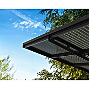 Palram – Canopia Carport Sydney Wings (Medidas ext. (An x Pr): 5,72 x 5,86 m, Negro) | BAUHAUS