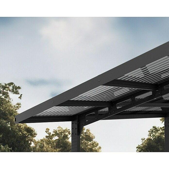 Palram – Canopia Carport Sydney Arch (Medidas ext. (An x Pr): 5,72 x 5,86 m, Negro) | BAUHAUS