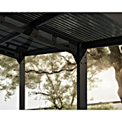 Palram – Canopia Carport Sydney Arch (Medidas ext. (An x Pr): 5,72 x 5,86 m, Negro) | BAUHAUS