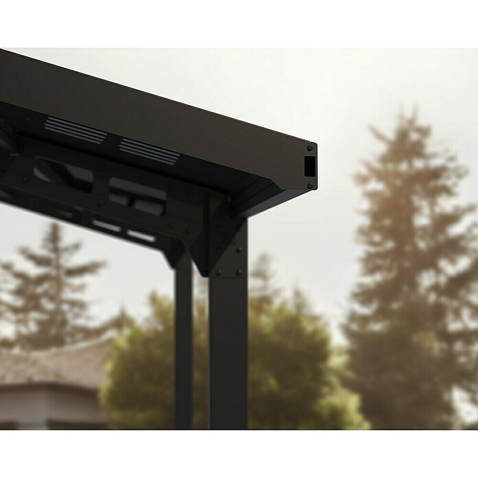 Palram – Canopia Carport Sydney Arch (Medidas ext. (An x Pr): 5,72 x 5,86 m, Negro) | BAUHAUS