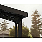 Palram – Canopia Carport Sydney Arch (Medidas ext. (An x Pr): 5,72 x 5,86 m, Negro) | BAUHAUS