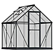Palram – Canopia Invernadero Mythos (Medidas ext. (An x Pr): 185 x 186 cm, Material de la pared lateral: Plástico, 4 mm, Gris) | BAUHAUS