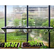 Palram – Canopia Estantería para invernadero (64,5 x 27 x 17,3 cm, Negro, 12 ud.) | BAUHAUS