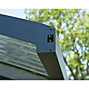 Palram – Canopia Carport Arizona Wave (Medidas ext. (An x Pr): 578 x 495 cm, Carport doble, Antracita) | BAUHAUS