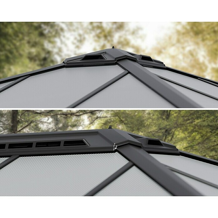Palram – Canopia Carport Colorado (Medidas ext. (An x Pr): 4,22 x 4,83 m, Negro) | BAUHAUS