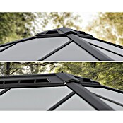 Palram – Canopia Carport Colorado (Medidas ext. (An x Pr): 4,22 x 4,83 m, Negro) | BAUHAUS