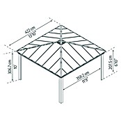 Palram – Canopia Carport Colorado (Medidas ext. (An x Pr): 4,22 x 4,22 m, Negro) | BAUHAUS