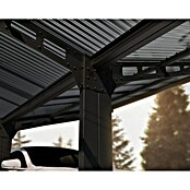 Palram – Canopia Carport Sydney Wings (Medidas ext. (An x Pr): 5,72 x 5,86 m, Negro) | BAUHAUS