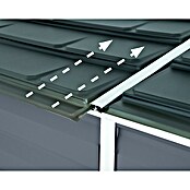 Palram – Canopia Caseta de jardín Skylight (Medidas ext. (An x Pr): 117 x 177 cm, Plástico, Antracita) | BAUHAUS