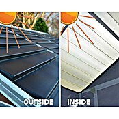 Palram – Canopia Caseta de jardín Skylight (Medidas ext. (An x Pr): 117 x 177 cm, Plástico, Antracita) | BAUHAUS
