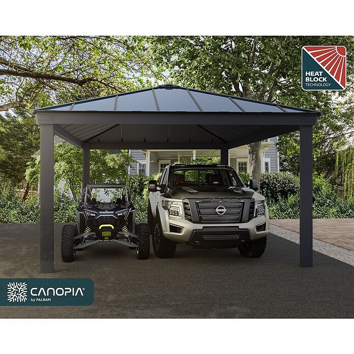 Palram – Canopia Carport Colorado (Medidas ext. (An x Pr): 4,22 x 607 m, Negro) | BAUHAUS