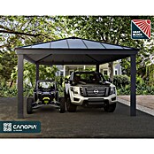 Palram – Canopia Carport Colorado (Medidas ext. (An x Pr): 4,22 x 607 m, Negro) | BAUHAUS