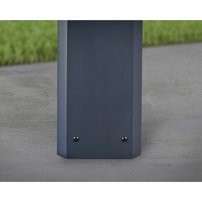 Palram – Canopia Carport Colorado (Medidas ext. (An x Pr): 4,22 x 607 m, Negro) | BAUHAUS