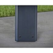 Palram – Canopia Carport Colorado (Medidas ext. (An x Pr): 4,22 x 607 m, Negro) | BAUHAUS