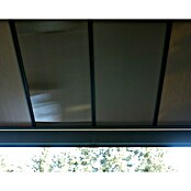 Palram – Canopia Carport Colorado (Medidas ext. (An x Pr): 4,22 x 607 m, Negro) | BAUHAUS