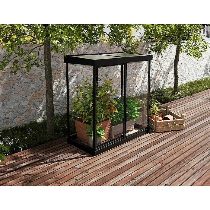 Palram – Canopia Invernadero Mini Ivy - Medidas ext. (An x Pr): 123 x 64 cm, 0,7 mm, Negro - Un moderno armario de invernadero negro con paneles de vidrio, que alberga plantas, se encuentra en una terraza de madera, con una caja de madera al lado.