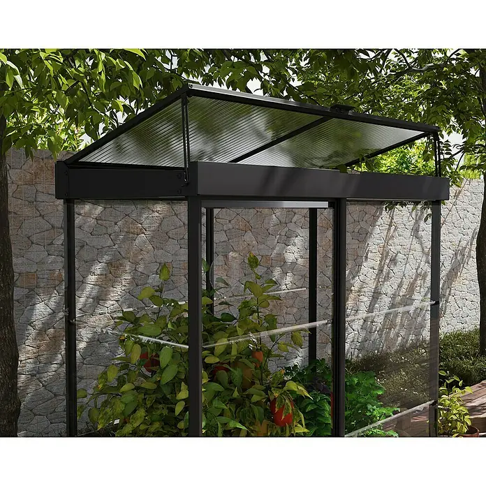 Palram – Canopia Invernadero Mini Ivy - Medidas ext. (An x Pr): 123 x 64 cm, 0,7 mm, Negro - Primer plano de un invernadero con techo abierto, que alberga plantas, con una pared de piedra bajo árboles al fondo.