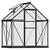 Palram – Canopia Invernadero Mythos (Medidas ext. (An x Pr): 185 x 126 cm, Material de la pared lateral: Plástico, 4 mm, Gris) | BAUHAUS