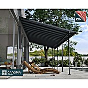 Palram – Canopia Marquesina adosada Capri (An x Pr: 980 x 299 cm, Antracita, Policarbonato, Gris) | BAUHAUS
