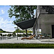 Palram – Canopia Marquesina adosada Capri (An x Pr: 980 x 299 cm, Antracita, Policarbonato, Gris) | BAUHAUS