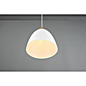 Reality Leuchten Lámpara colgante Jagger (40 W, Ø x Al: 25 x 150 cm, Blanco, E27) | BAUHAUS