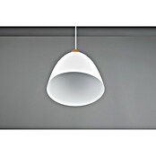 Reality Leuchten Lámpara colgante Jagger (40 W, Ø x Al: 25 x 150 cm, Blanco, E27) | BAUHAUS