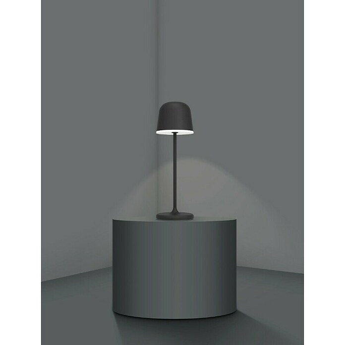 Eglo Lámpara de sobremesa a batería Mannera (Ø x Al: 11 x 34 cm, Negro, 2,2 W, IP54) | BAUHAUS