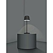 Eglo Lámpara de sobremesa a batería Mannera (Ø x Al: 11 x 34 cm, Negro, 2,2 W, IP54) | BAUHAUS