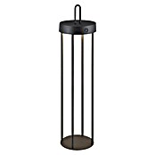 Paul Neuhaus Lámpara de sobremesa a batería Anselm (1,5 W, Negro, Blanco cálido) | BAUHAUS