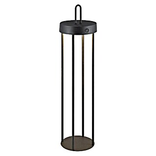 Paul Neuhaus Lámpara de sobremesa a batería Anselm (1,5 W, Ø x Al: 12,8 x 50,4 cm, Negro, Blanco cálido)