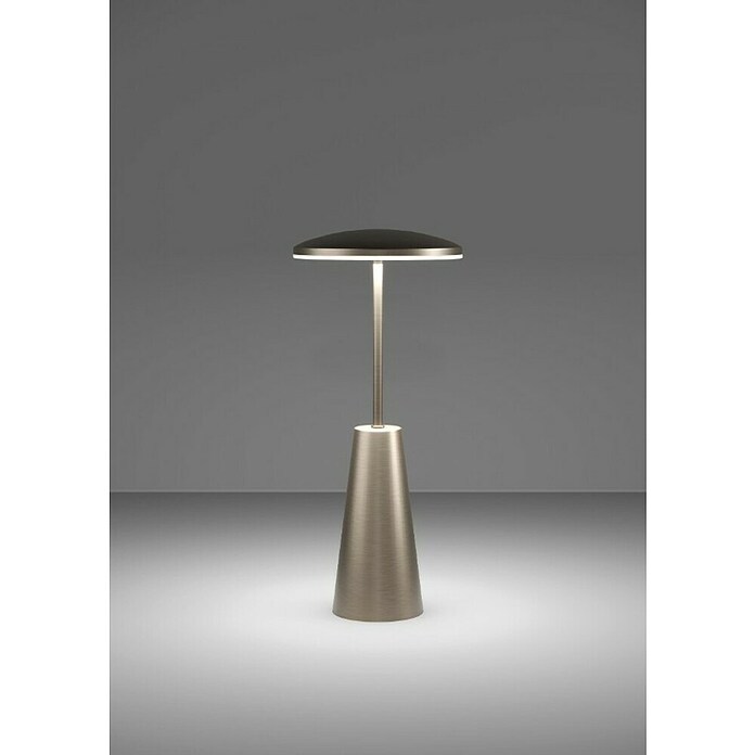 Eglo Lámpara de sobremesa a batería Piccola (Ø x Al: 12,8 x 28,5 cm, Bronce oscuro, 2,8 W, IP54) | BAUHAUS